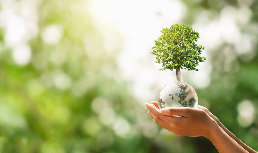 Métiers questions environnementales luxe - ISG LUXURY